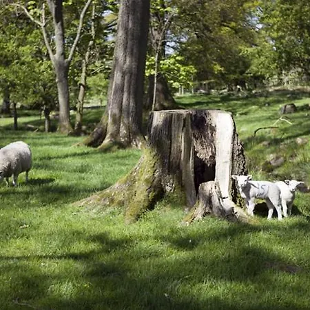 Sandhills Farm Panzió